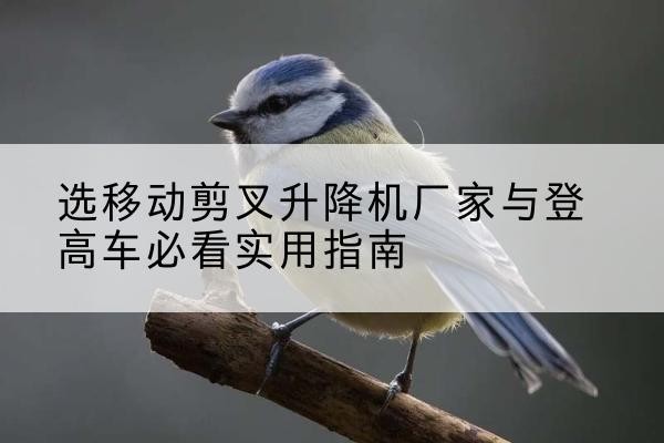 石阡电动升降机厂家-选移动剪叉升降机厂家与登高车必看实用指南
