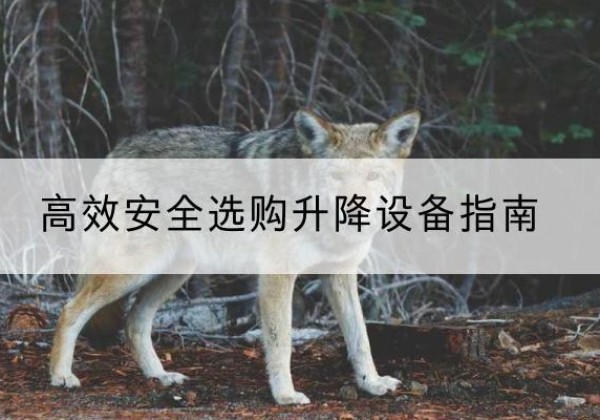 石阡升降货梯厂家推荐-*安全选购升降设备指南